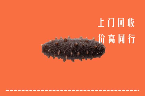 高价求购：涞水县回收海参