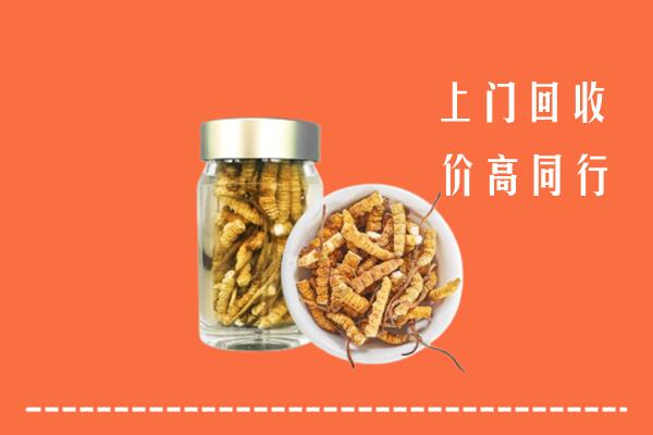收购行情：涞水县回收冬虫夏草