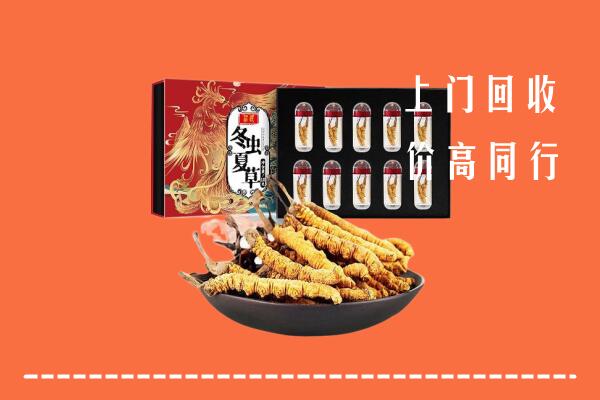 收购行情：涞水县回收虫草